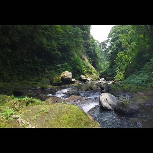 Meet your Posher, Sky - Picture 1 of 6